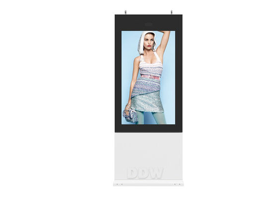 55 " IP65 1500 시디 LCD 광고 디지털 신호 DDW-AD5501SNO