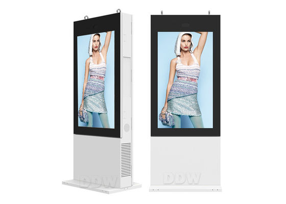 55 " IP65 1500 시디 LCD 광고 디지털 신호 DDW-AD5501SNO